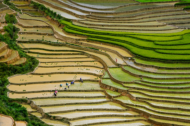 terrazas-arroz-mu-cang-chai-vietnam