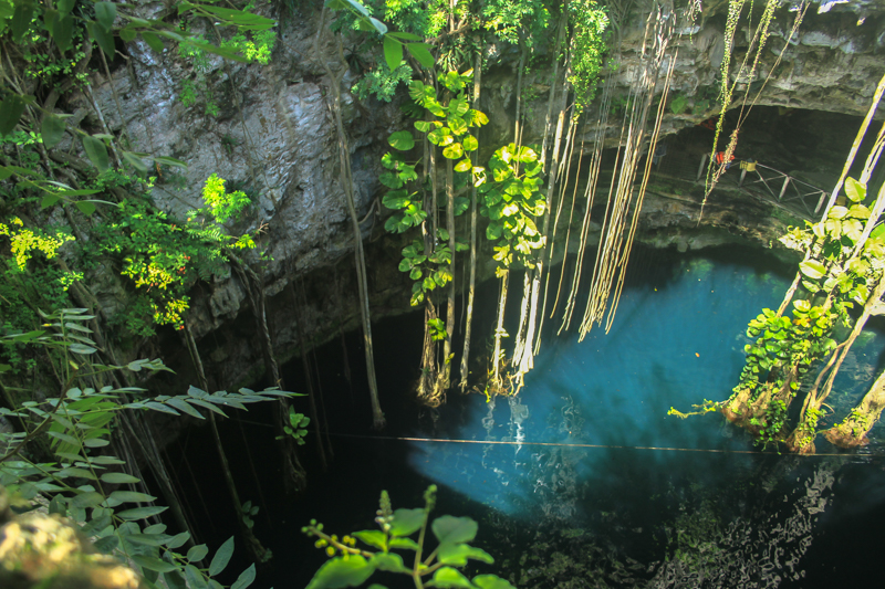 Riviera-Maya-cenote-oxman-9083