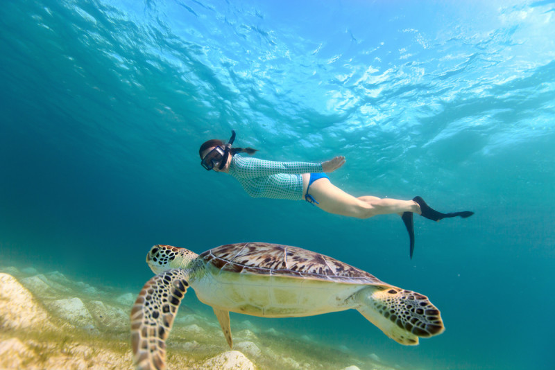 excursion-snorkel-cancun