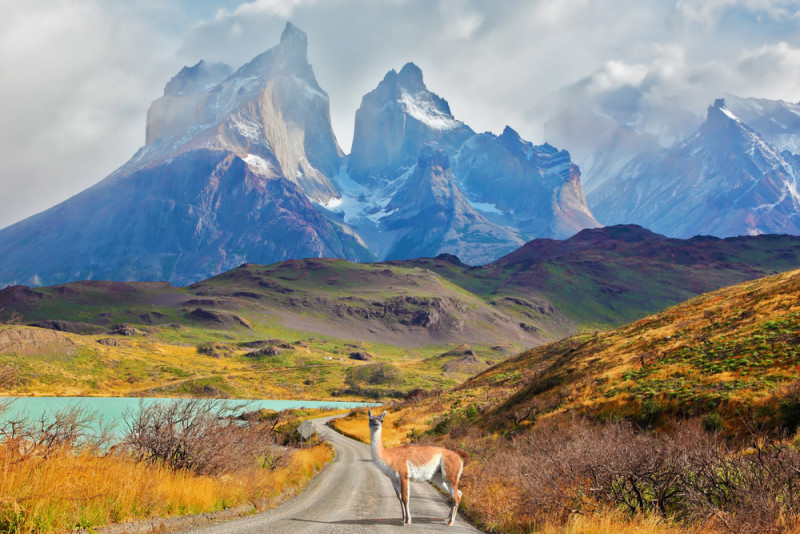 Resultado de imagen para paisaje de la patagonia