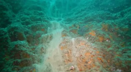 Una increíble cascada de arena bajo el mar (vídeo) en Cabo San Lucas, México