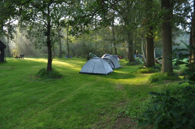 Una web donde reservar espacios para acampar en jardines de casas  particulares (Camp in my Garden) - 101 Lugares increíbles