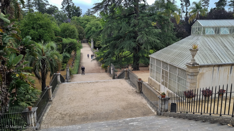 Que ver en Coímbra: Jardín Botánico