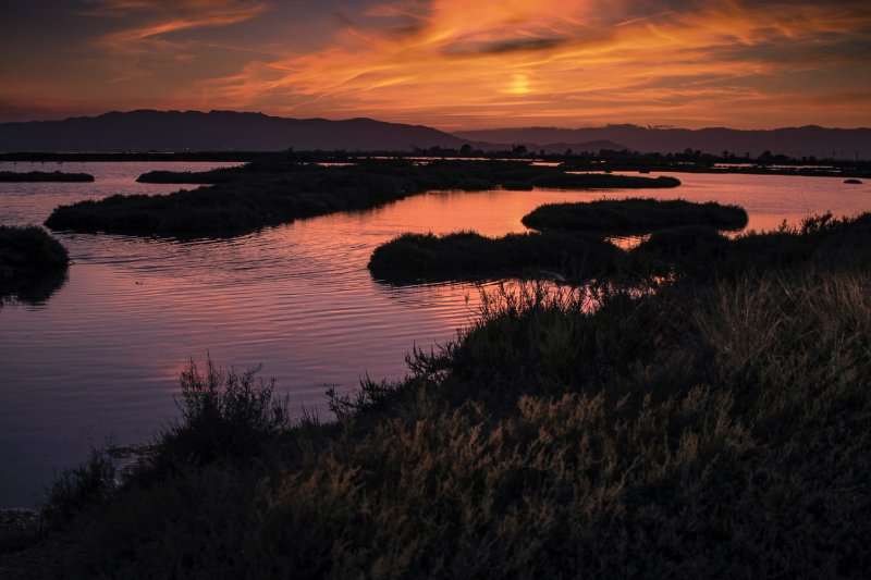 Que hacer en el Delta del Ebro